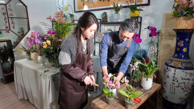 ͼƬ